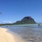 Sur l'ile aux bénitiers Sur l'ile aux bénitiers