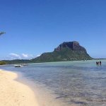 Sur l'ile aux bénitiers Sur l'ile aux bénitiers