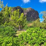 Le Morne Brabant - Maurice Le Morne Brabant - Maurice