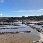 Les salines de Tamarins au sud-ouest de l'ile Maurice Les salines de Tamarins au sud-ouest de l'ile Maurice
