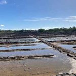 Les salines de Tamarins au sud-ouest de l'ile Maurice Les salines de Tamarins au sud-ouest de l'ile Maurice