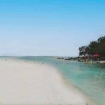 Sur l'ile aux cerfs Sur l'ile aux cerfs