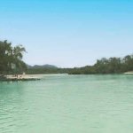 L'ile aux cerfs L'ile aux cerfs
